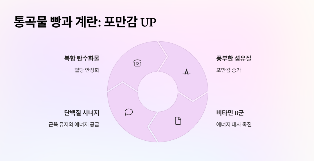통곡물 빵과 계란: 포만감 UP