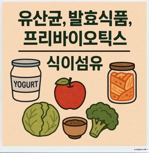 입냄새 잡는 유산균, 발효식품,프로바이오틱스