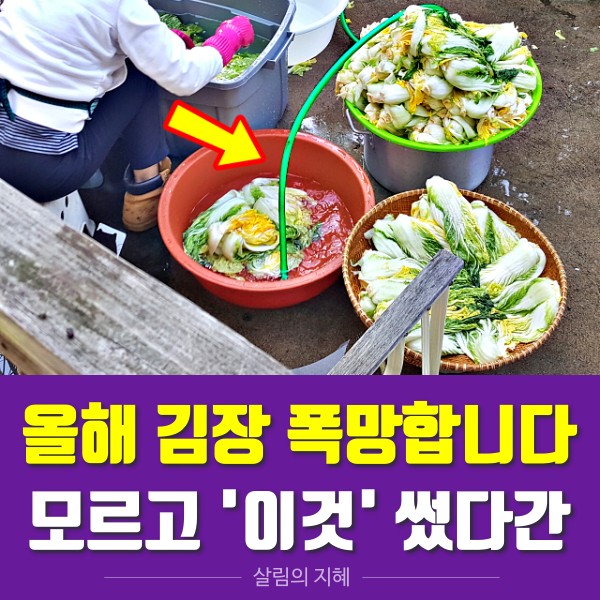 김치냉장고 김치에서 소독약 냄새가 나요,김장하는법 김치 맛있게 담는법,건강 팁줌 매일꿀정보