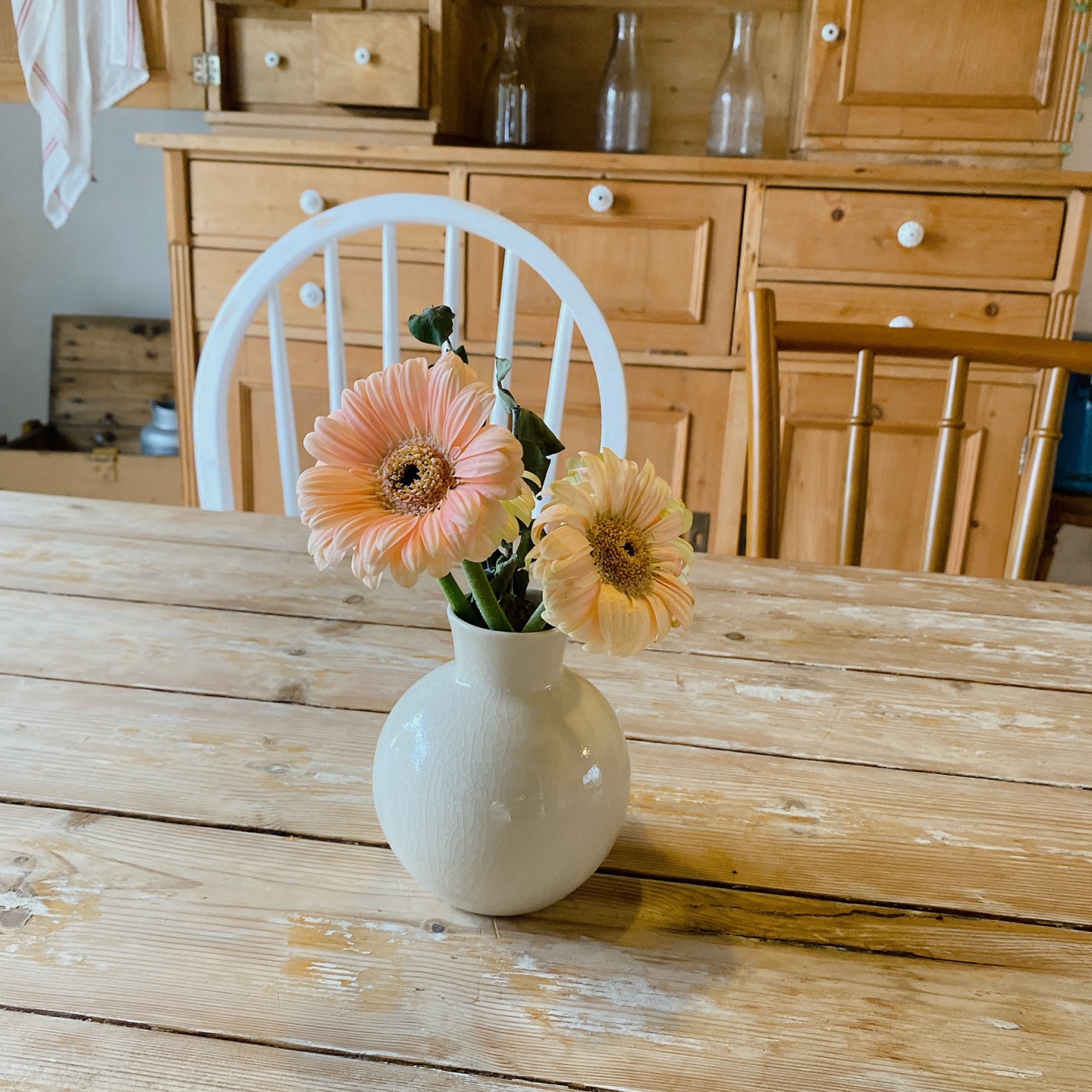 제주 서귀포 표선해수욕장 애견동반 예스키즈존 프렌치토스트 구옥 카페 멜빌 melvile