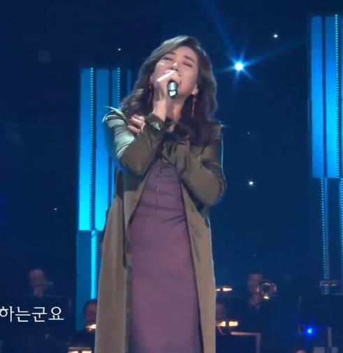 주현미(등려군) - 월량대표아적심