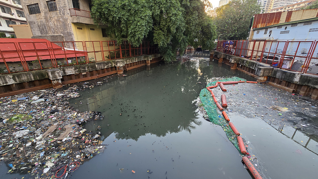 홍본다리의 쓰레기들