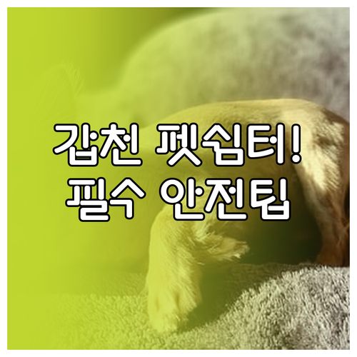 갑천 펫쉼터 시설 현황과 이용 전 필..