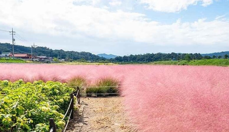 공주 가볼만한곳 베스트 10