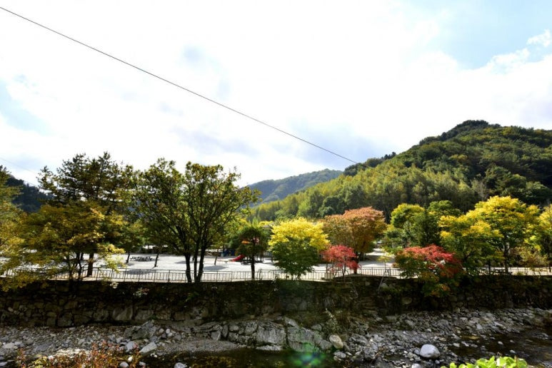 가평 자작나무숲 '또올래캠핑장' 미리보기