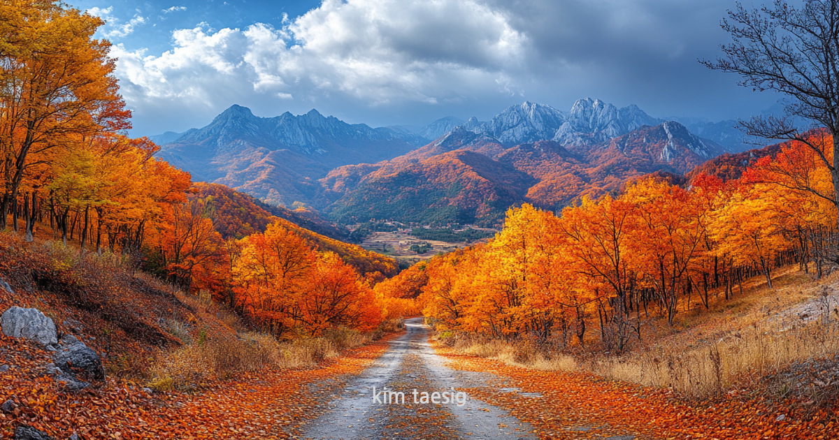 가지산의 사계절