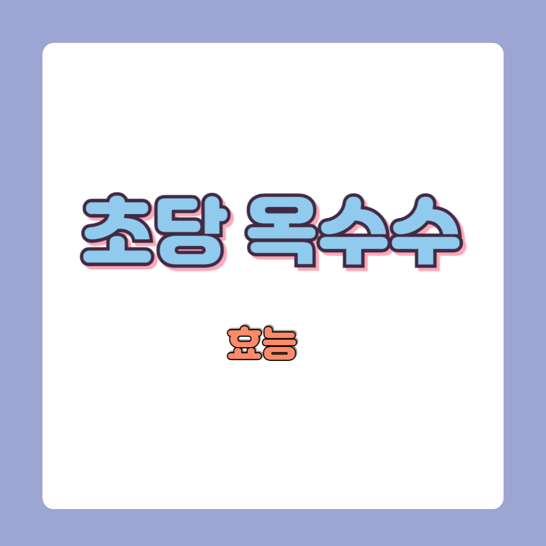 초당옥수수 효능