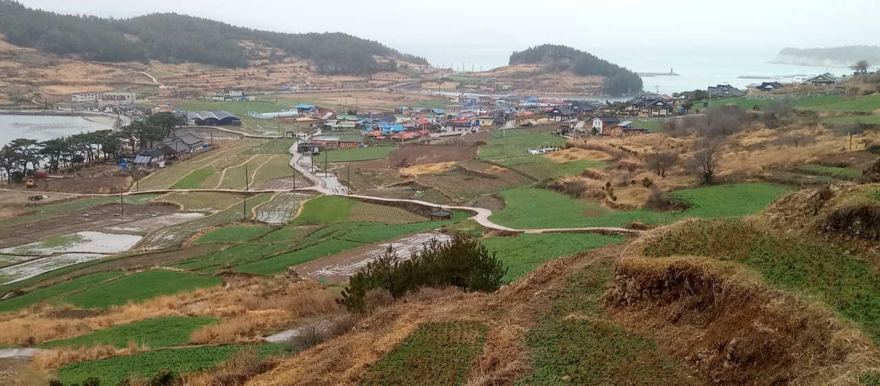 청산도 슬로길