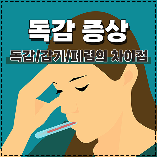 독감 증상 독감 감기 폐렴의 차이점