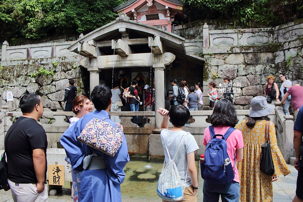 일본 여행, 교토 버스투어 현대카드 × kkday 일본여행 30% 할인