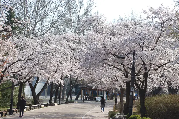 어린이대공원2