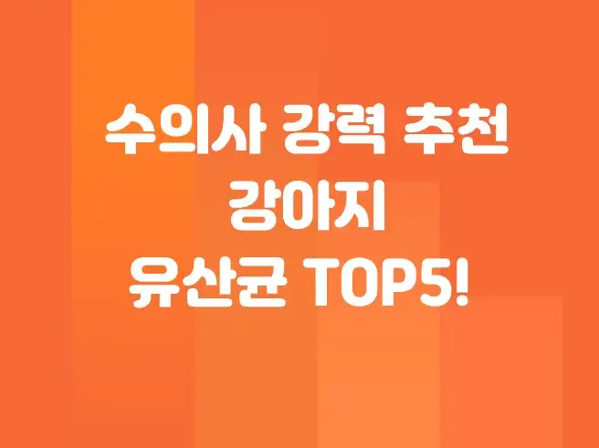 수의사가 추천하는 강아지 유산균 TOP5! 장 건강을 위한 필수템