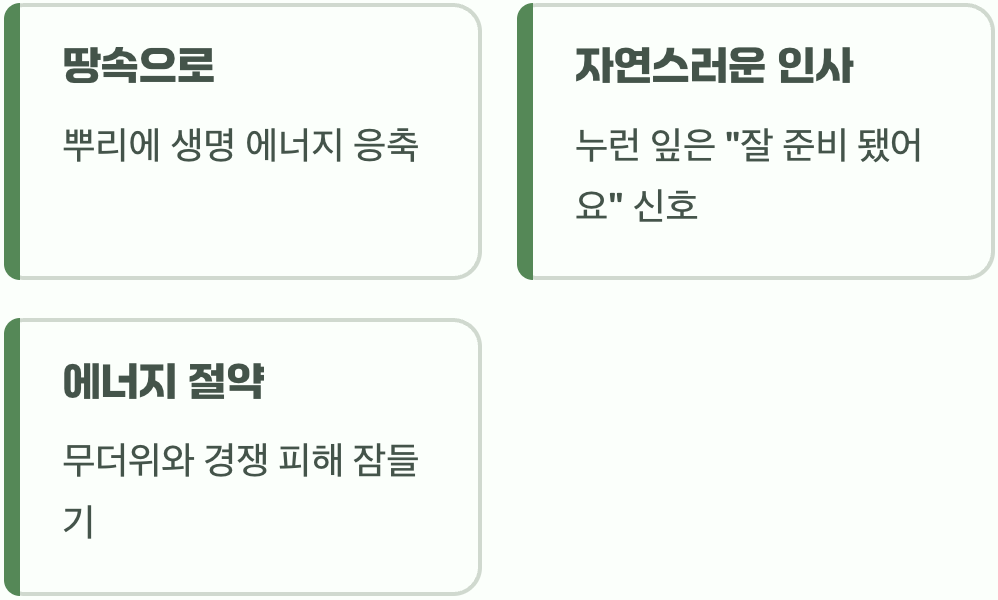 &lsquo;휴면&rsquo;&amp;#44; 죽음이 아닌 여름잠