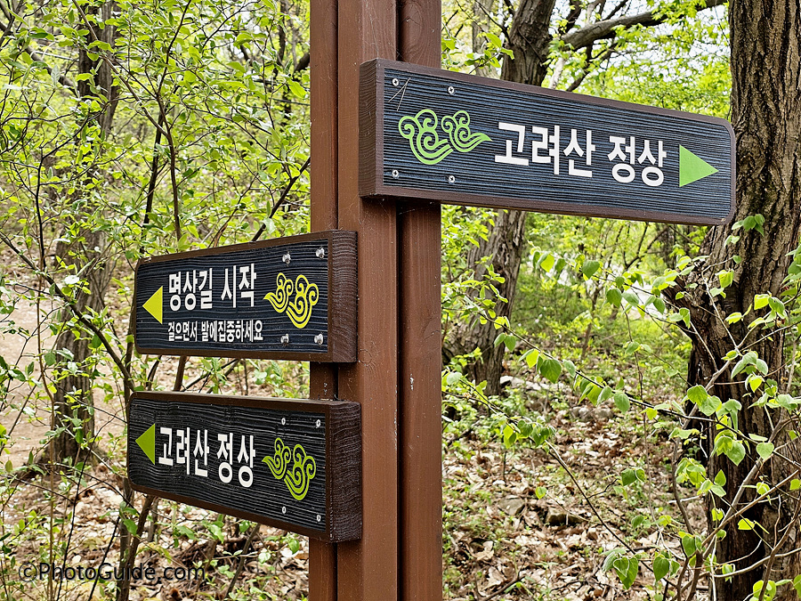 진달래꽃-고려산