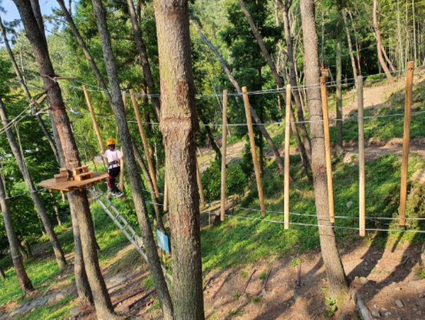 거제 맹종죽테마공원