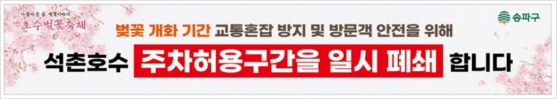 석촌호수 주차 정보