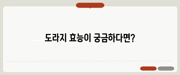 도라지 효능과 부작용 체크 기관지에 진짜 좋은가