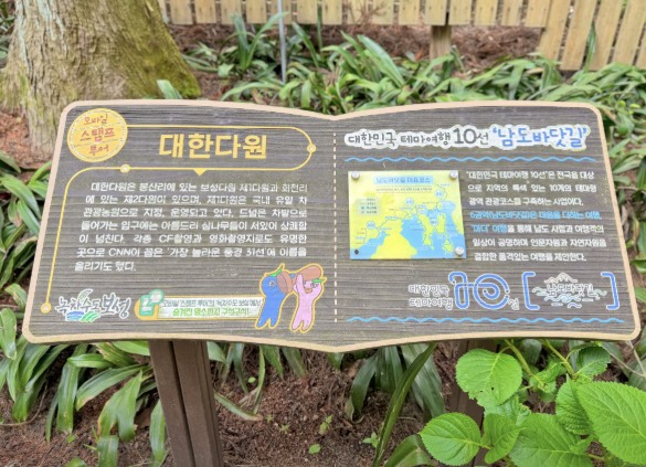 2025 추석연휴 전라남도 가볼만한 곳 BEST 5