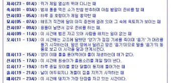 조선시대 시간 관리 시계 역사_8