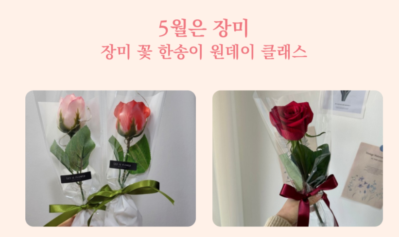 울산대공원 장미축제