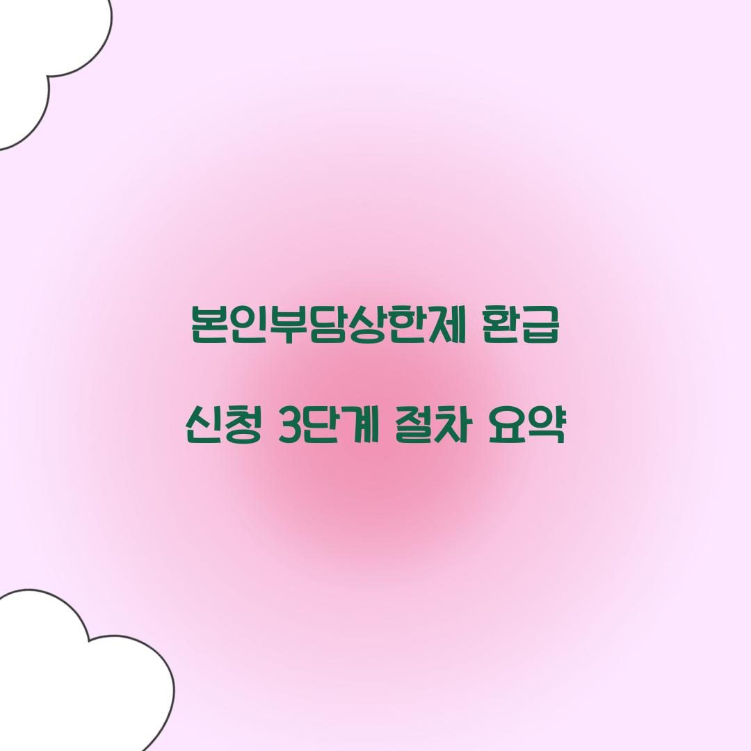 본인부담상한제 환급 신청 3단계 절차 요약