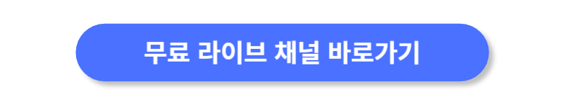 버튼