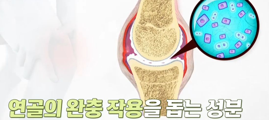 프로테오글리칸 효능 
