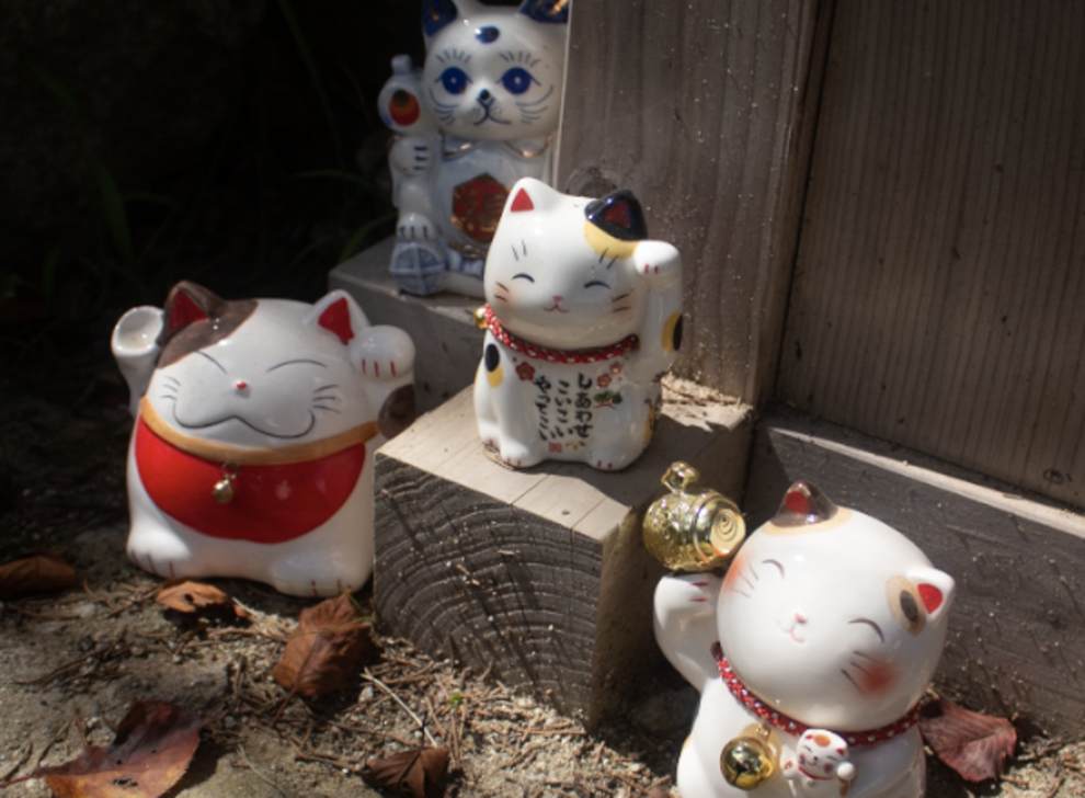 니지모리스튜디오