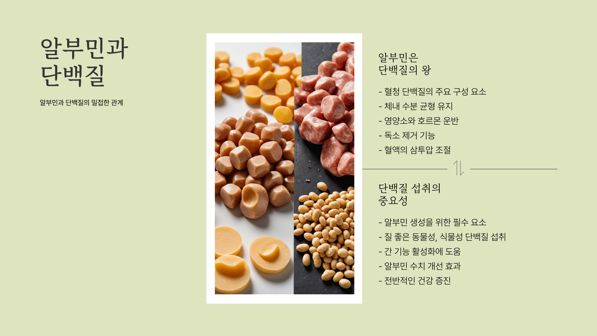 알부민