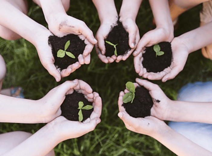 아이랑 인천 가볼만한곳 추천! 오봉산유아숲체험원 체험 프로그램 총정리