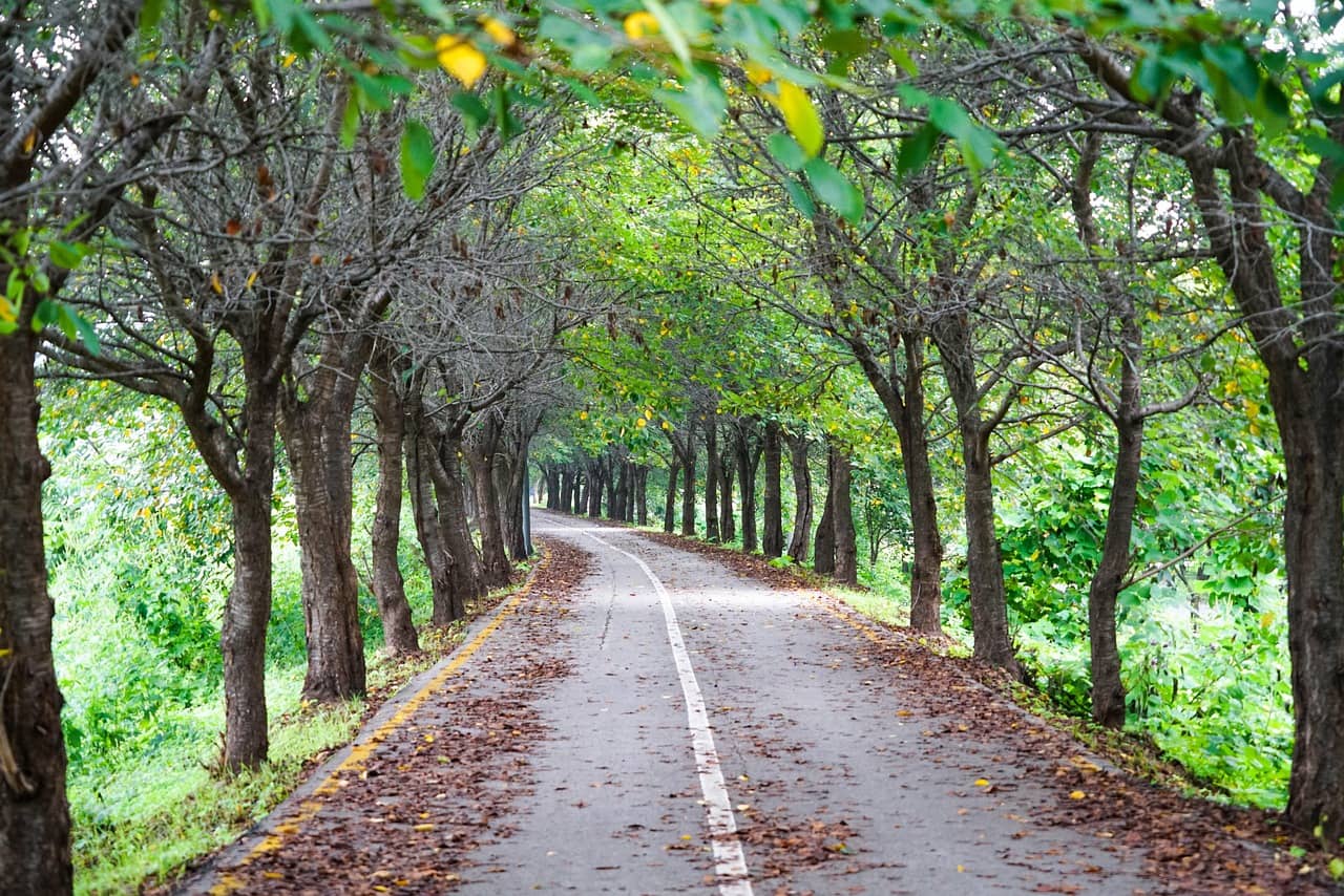 [디지털 미니멀리즘] 불필요한 알림 이메일 200개 구독 해지 후 발견한 &lsquo;정서적 여유의 회복 메커니즘&rsquo;