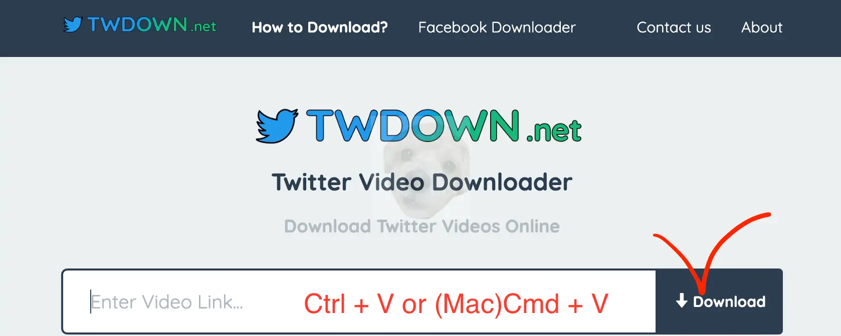 복사한 URL 주소를 붙여넣고 다운로드를 클릭