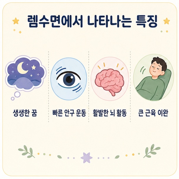 렘수면에서 나타나는 생생한 꿈, 빠른 안구 운동, 활발한 뇌 활동, 큰 근육 이완의 특징을 정리한 그림