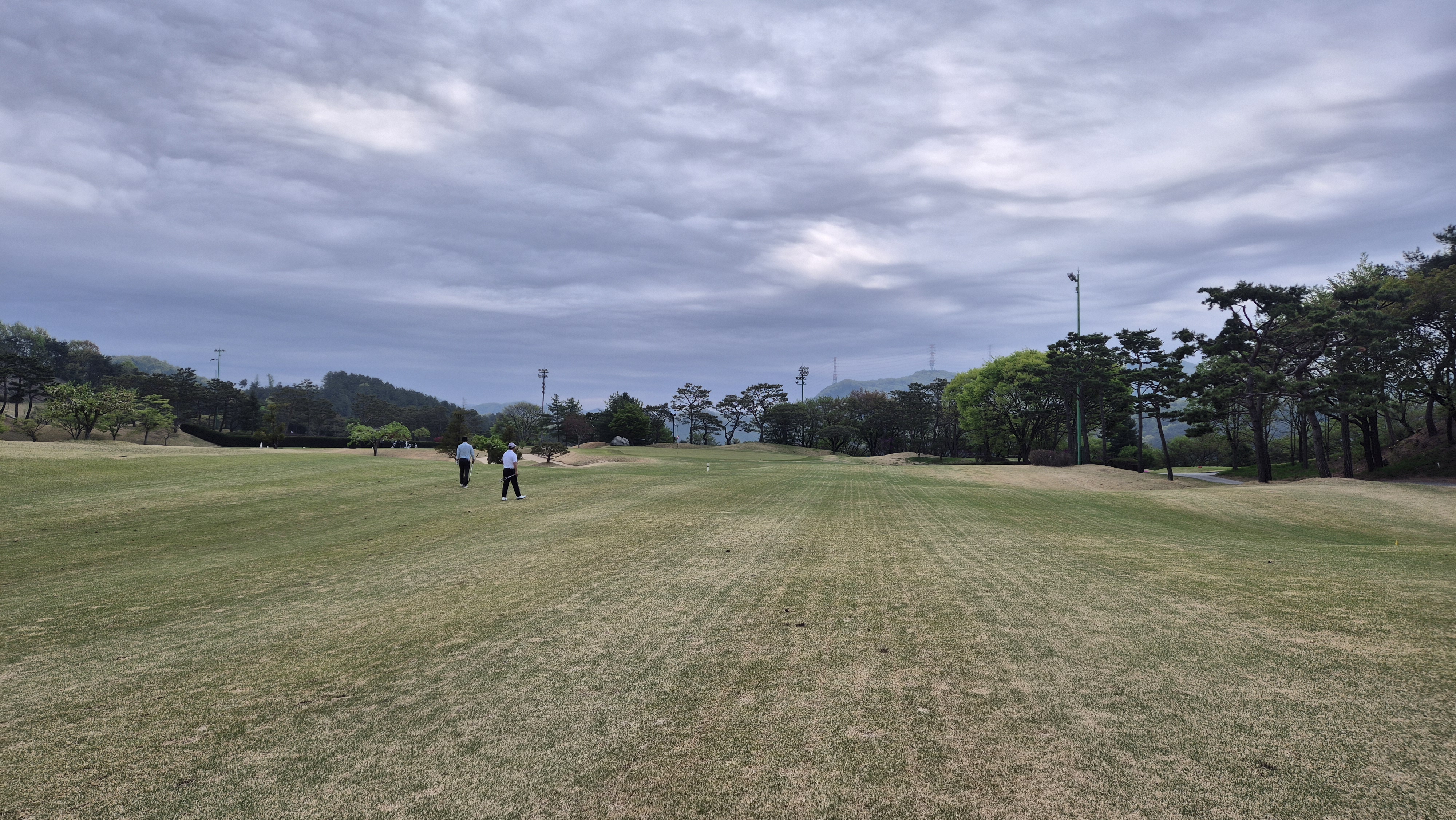 시그너스cc 코튼-라미 코스 사진 및 공략 정보