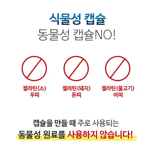 시니어 뇌 건강 영양제 추천 뉴트리코어 파이퍼셀 rTG 오메가3