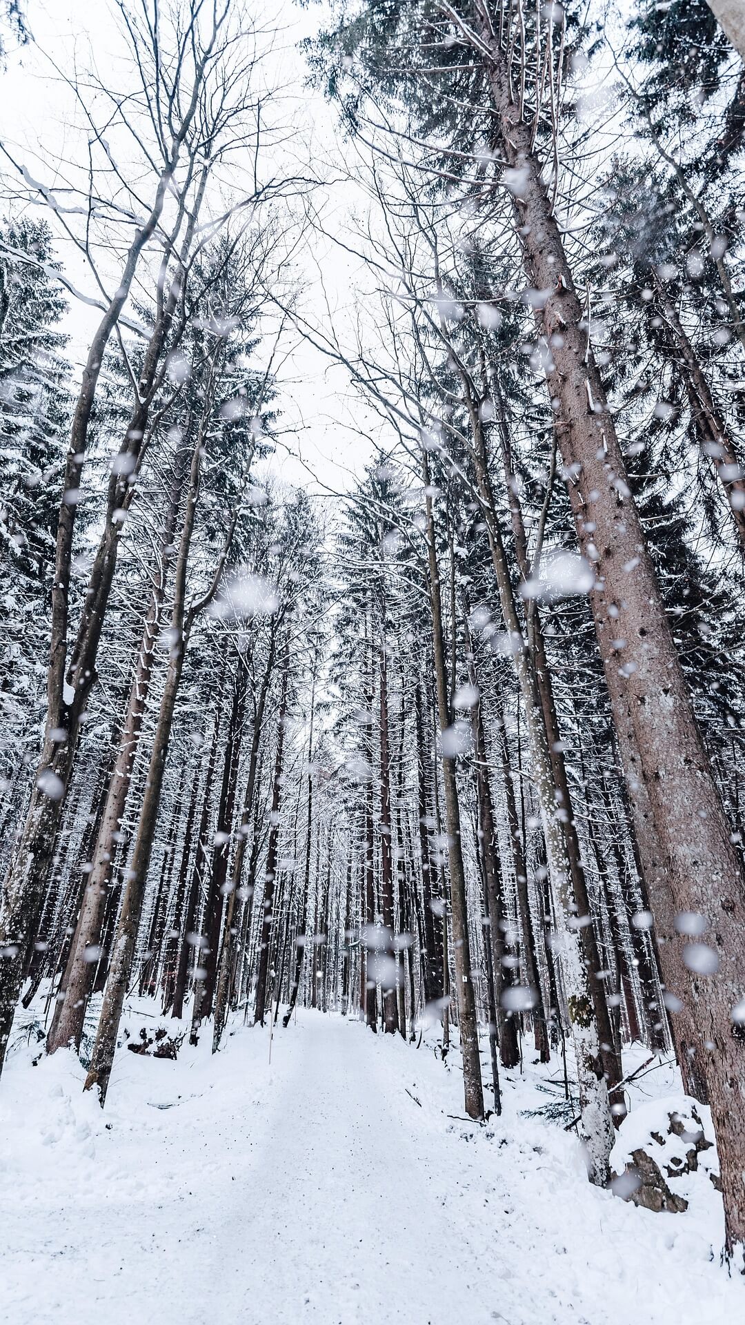 ❄️ 눈 오는 꿈 해몽 총정리|상황별 의미와 길몽, 흉몽 해석