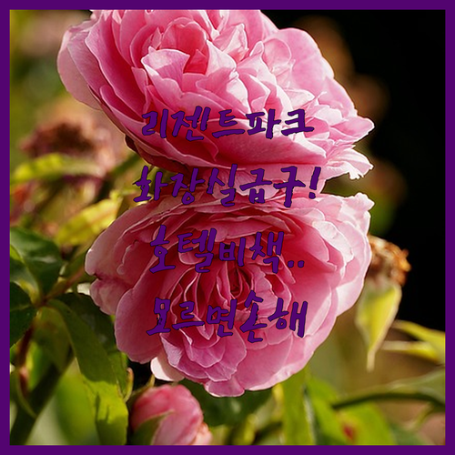 리젠트 파크 산책 전 꼭 알아야 할 ..