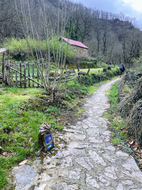 Camino de Santiago 산티아고 순례길