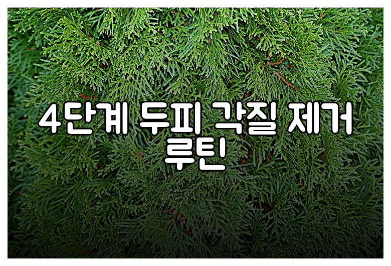 4단계 두피 각질 제거 루틴