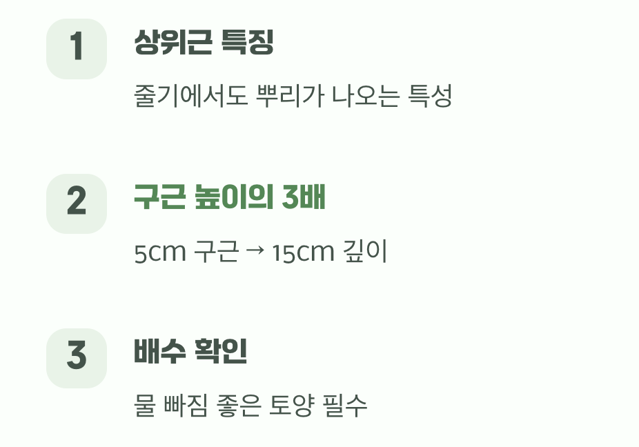 실패 없는 심기, 깊이의 중요성