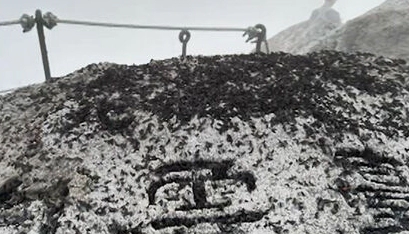 러브버그 자주 묻는 질문과 답변