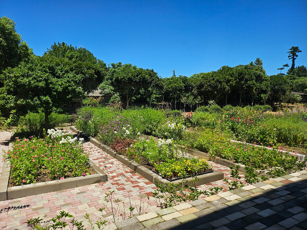 인디언키친본점_꽃밭