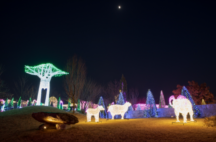 퍼스트가든 별빛축제