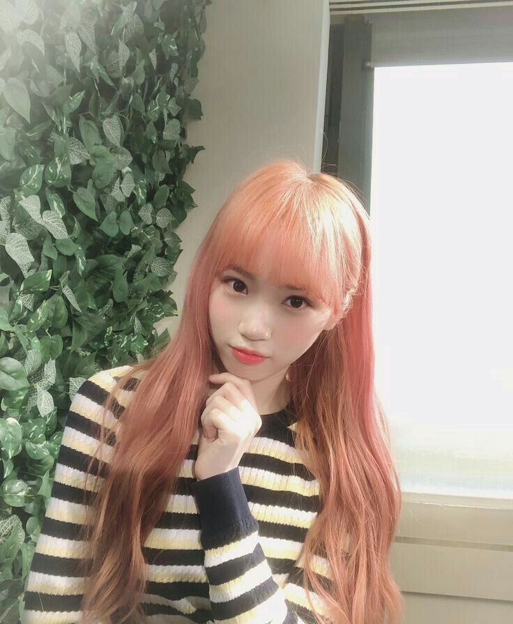 김채원 사진 모음 김채원 사진 모음