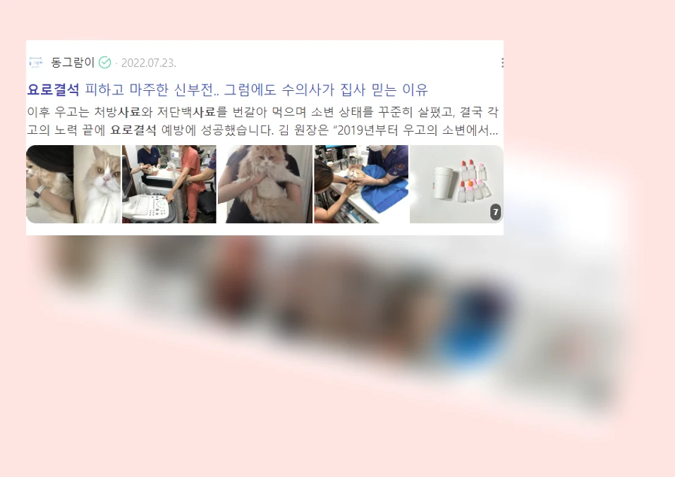 고양이 요로결석 사료_3_subsection