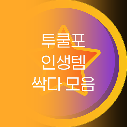 투쿨포스쿨 BEST 아이템 총정리! 
