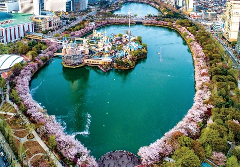 2024년도 4월 축제 BEST 9곳 정리