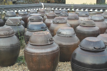 김장 시기 키트 레시피 매트 배추 : 필수 준비