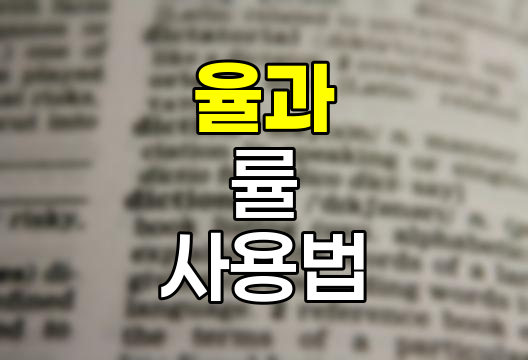 율과 률의 정확한 사용법, 한글 맞춤법의 핵심 규칙