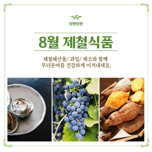 8월제철해산물과일채소